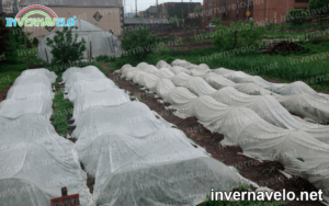 para que sirve la malla invernavelo